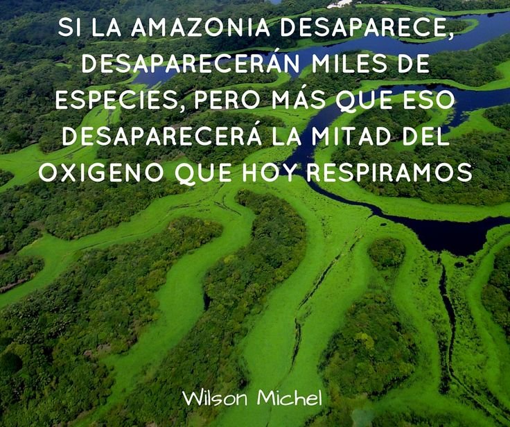 desaparece la amazonia