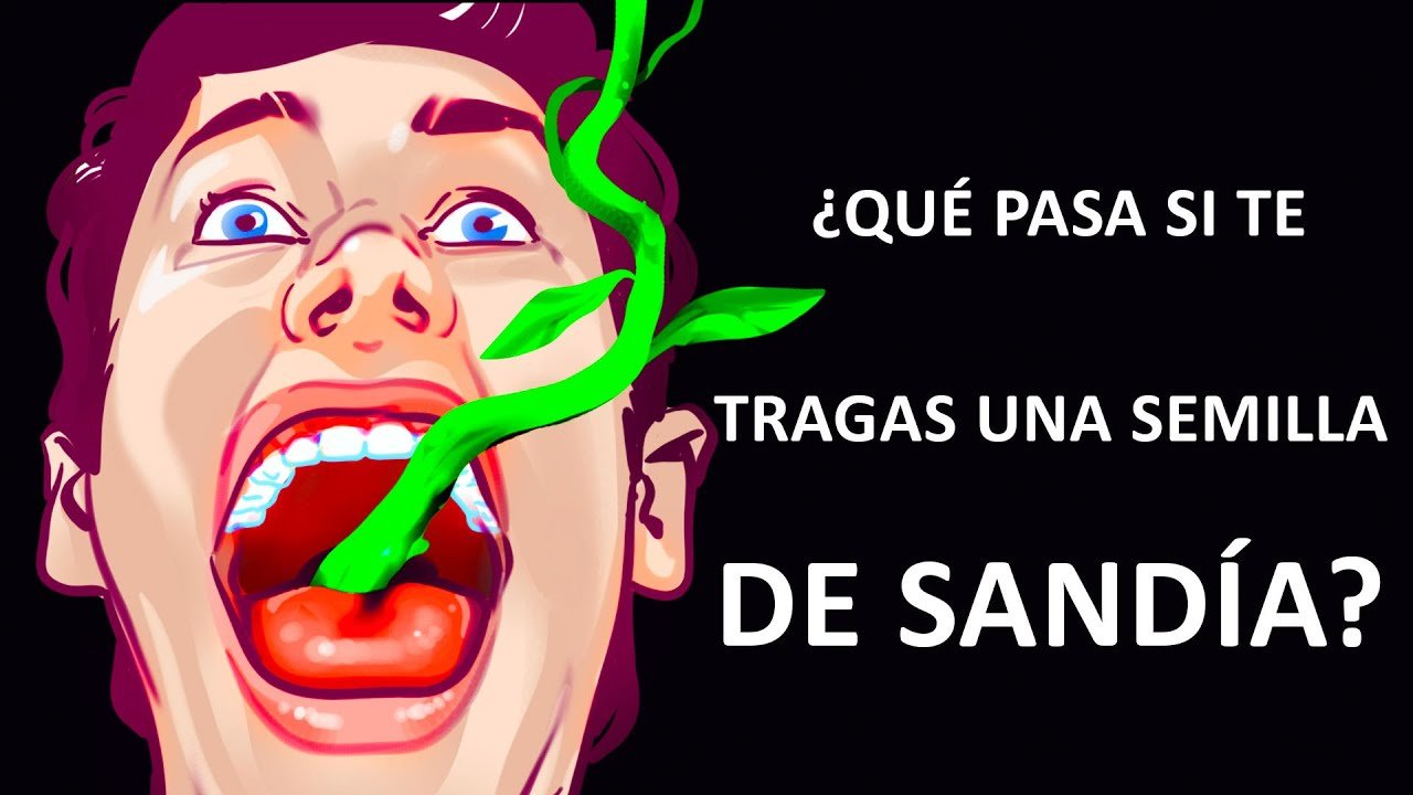 te tragas las semillas de la sandia