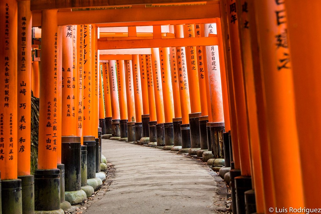 que hacer en Kyoto