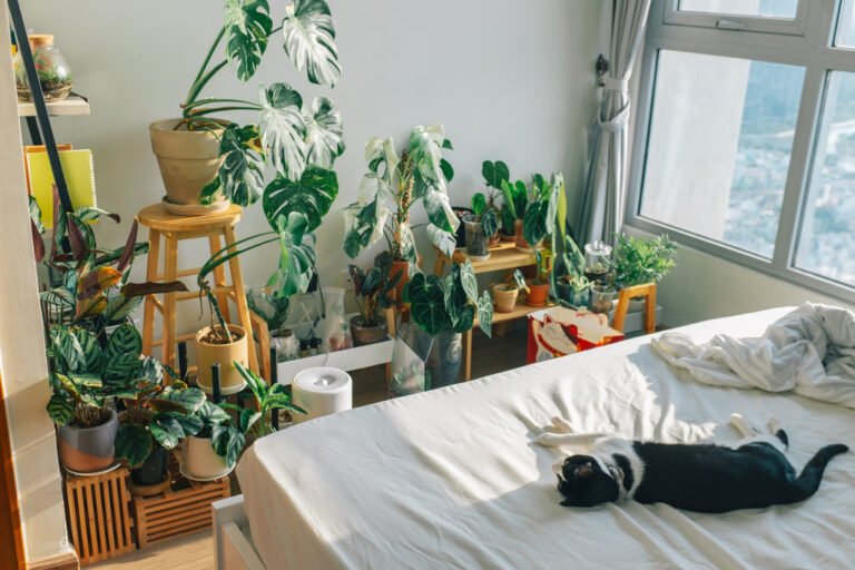 duermes con plantas en tu cuarto