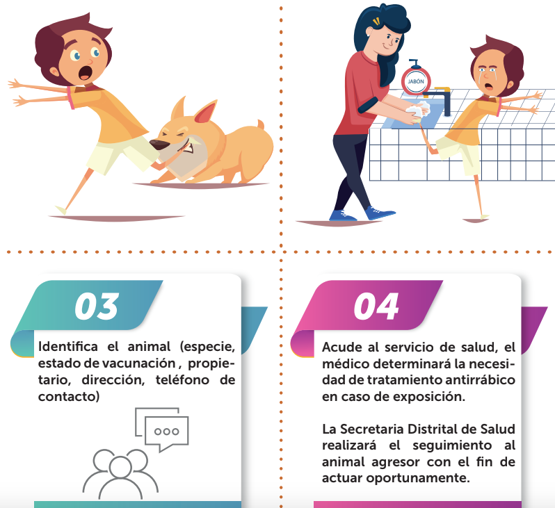 me muerde un perro callejero