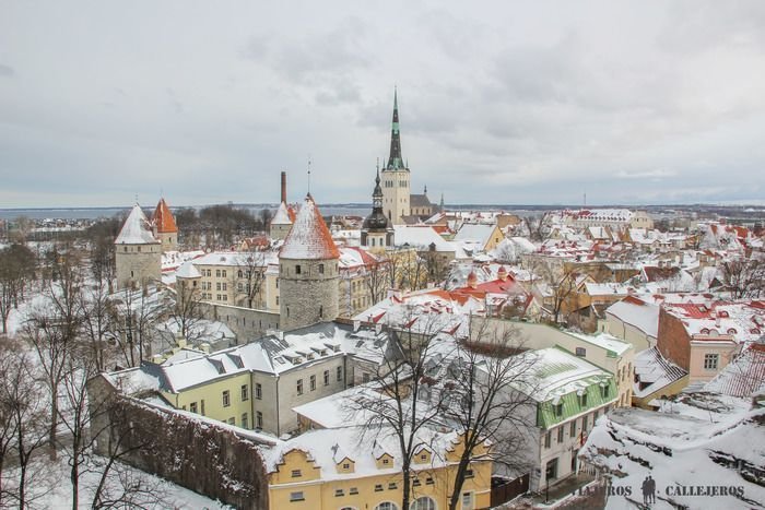 que hacer en Tallin